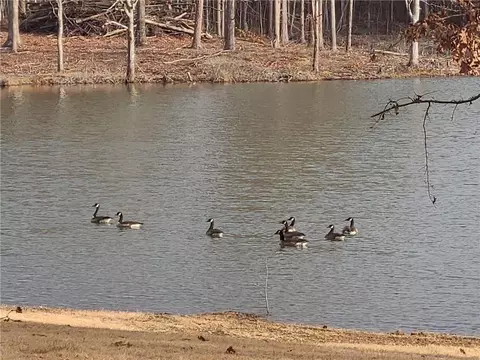 View/Area - 1401 Rainey Rd, Temple, GA 30179 photo 9 of 20
