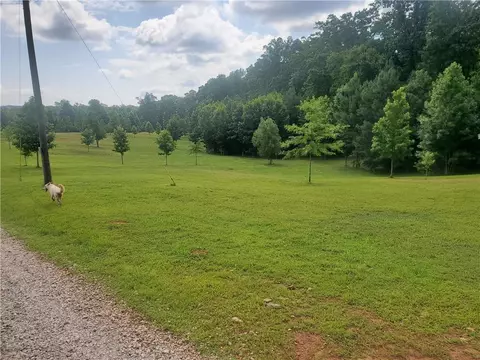 Exterior - 1401 Rainey Rd, Temple, GA 30179 photo 7 of 13