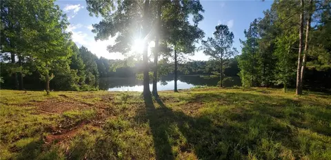 View/Area - 1401 Rainey Rd, Temple, GA 30179 photo 13 of 20