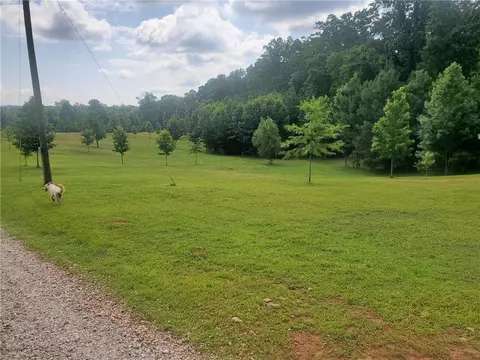 Exterior - 1401 Rainey Rd, Temple, GA 30179 photo 9 of 13