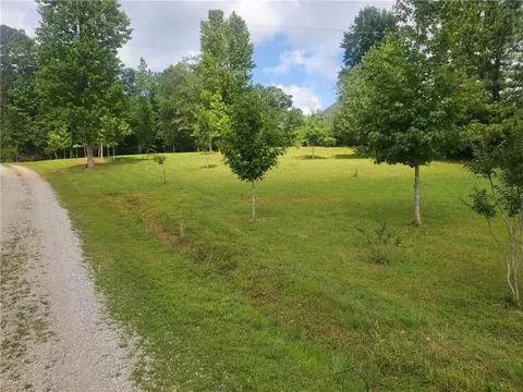 Exterior - 1401 Rainey Rd, Temple, GA 30179 photo 10 of 13