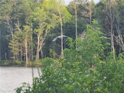 View/Area - 1401 Rainey Rd, Temple, GA 30179 photo 17 of 20