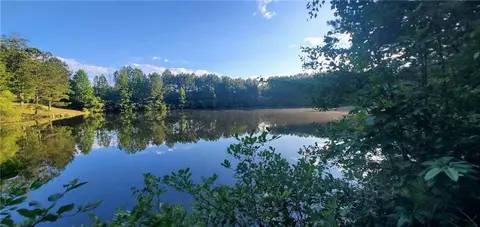 View/Area - 1401 Rainey Rd, Temple, GA 30179 photo 14 of 20
