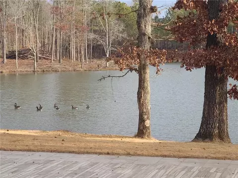 View/Area - 1401 Rainey Rd, Temple, GA 30179 photo 7 of 20