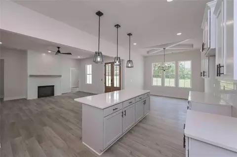 Other - 191 Willow Leaf Dr, Buchanan, GA 30113 photo 4 of 7