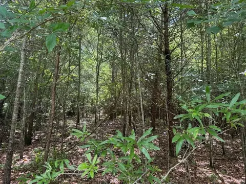 0 Meadow Ln, Talking Rock, GA 30175