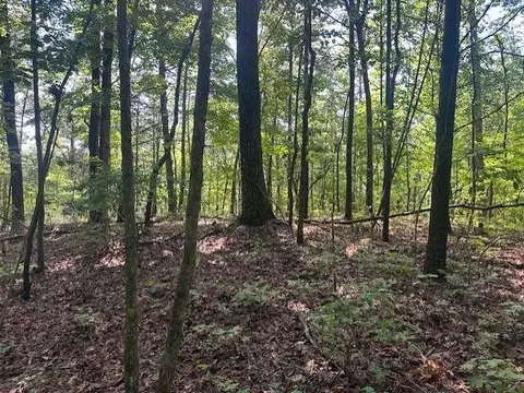 Tr3 - Wendy Hill Rd, Talking Rock, GA 30175