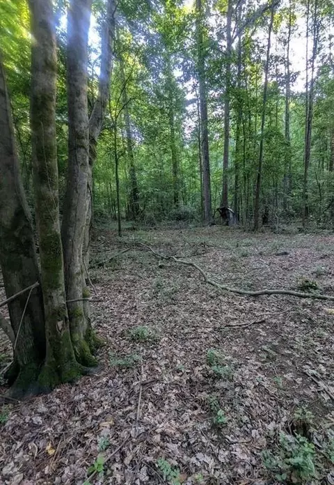 4 2 -acres River Rd, Ellenwood, GA 30294