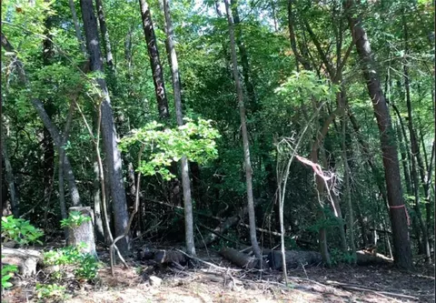0 68 Valley Vw, Ellijay, GA 30536