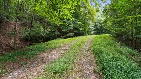 lot10 Papa Bear Path, Cherry Log, GA 30522