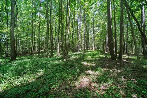 0 Lord Rd, Commerce, GA 30530 photo 15