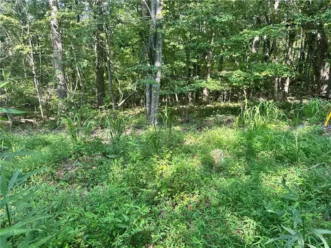 0 Turkey Trl, Jasper, GA 30143 photo 3