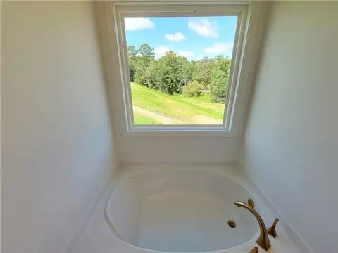 Bath - 389 Silverleaf Trl, Bethlehem, GA 30620 photo 6 of 11