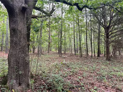 300 Timberwood Rd NW, White, GA 30184