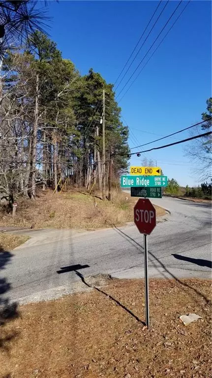 1785 Plunketts Rd, Buford, GA 30518 photo 6