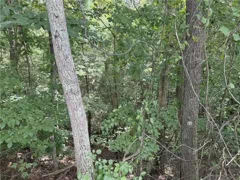 00 Calhoun Rd, Dahlonega, GA 30533 photo 5