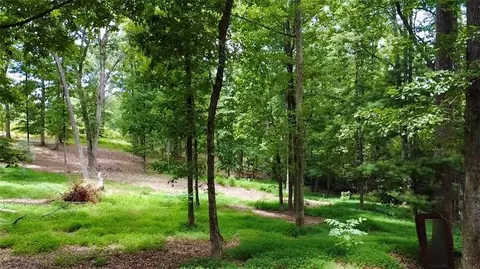 8671 Pea Ridge Rd, Cornelia, GA 30531 photo 6