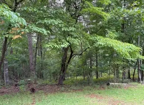 lot13 Olivia Ln, Ball Ground, GA 30107