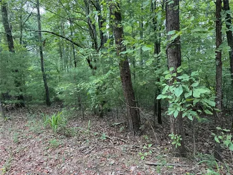 0 Shade Tree, Talking Rock, GA 30175 photo 4