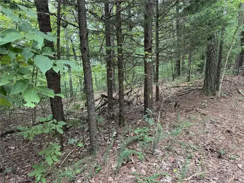 0 Shade Tree, Talking Rock, GA 30175 photo 3
