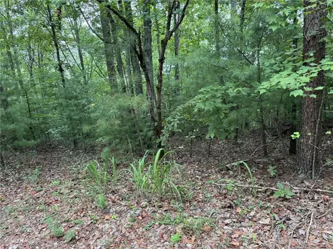 0 Shade Tree, Talking Rock, GA 30175 photo 5