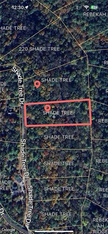 0 Shade Tree, Talking Rock, GA 30175 photo 8