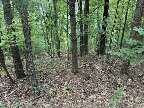 0 Shade Tree, Talking Rock, GA 30175 photo 7