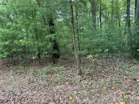 0 Shade Tree, Talking Rock, GA 30175 photo 6