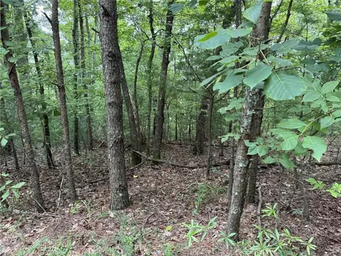 0 Shade Tree, Talking Rock, GA 30175 photo 2