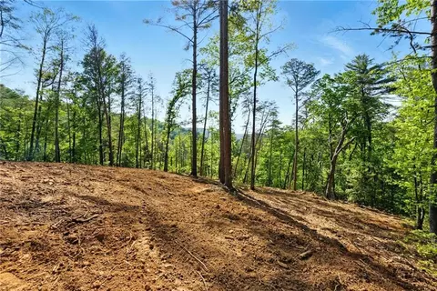 0 Dell Moore Rd, Marble Hill, GA 30148