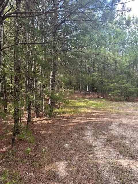 308 Old Whitestone Rd, Talking Rock, GA 30175 photo 14