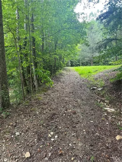 308 Old Whitestone Rd, Talking Rock, GA 30175 photo 19