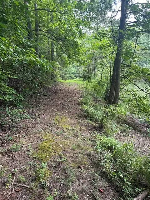 308 Old Whitestone Rd, Talking Rock, GA 30175 photo 20