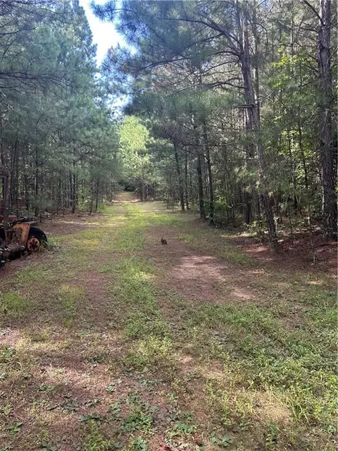 308 Old Whitestone Rd, Talking Rock, GA 30175 photo 13