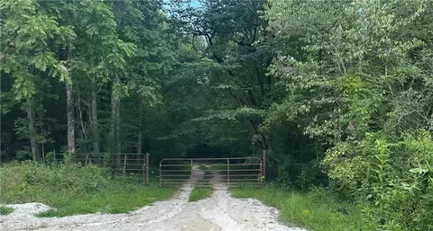 308 Old Whitestone Rd, Talking Rock, GA 30175 photo 25
