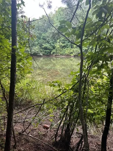 308 Old Whitestone Rd, Talking Rock, GA 30175 photo 9
