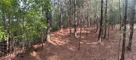 308 Old Whitestone Rd, Talking Rock, GA 30175 photo 16