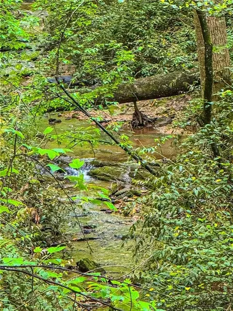 00 Cavender Creek Rd, Dahlonega, GA 30533