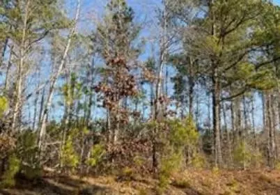 --- Steadman #32 Road, Tallapoosa, GA 30176