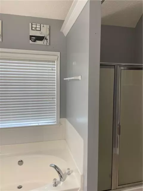 Bath - 101 Bridgemill Dr, Hampton, GA 30228 photo 2 of 4