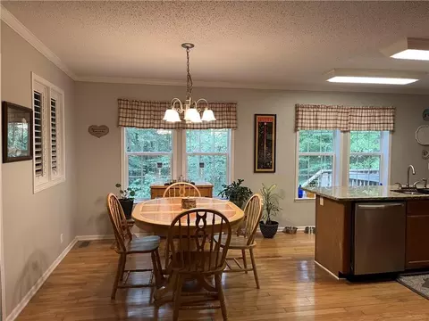 1195 Watts Rd, Bowdon, GA 30108 photo 8