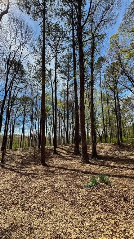 5035 Old West Point Rd, Lagrange, GA 30240 photo 4