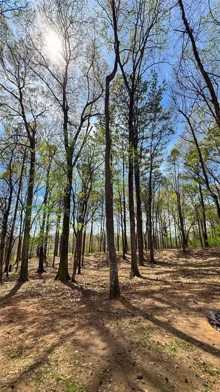 5035 Old West Point Rd, Lagrange, GA 30240 photo 5