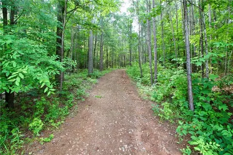 207 River Overlook, Forsyth, GA 31029 photo 4