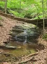 1649 Moss Patch Trl, Jasper, GA 30143