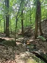 1649 Moss Patch Trl, Jasper, GA 30143 photo 2
