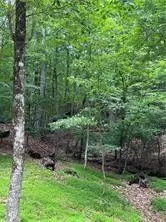 1649 Moss Patch Trl, Jasper, GA 30143 photo 4