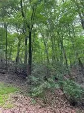1649 Moss Patch Trl, Jasper, GA 30143 photo 7
