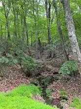 1649 Moss Patch Trl, Jasper, GA 30143 photo 8