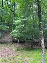 1649 Moss Patch Trl, Jasper, GA 30143 photo 5